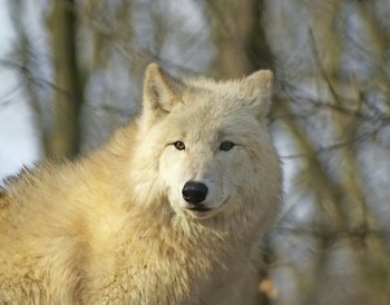 Rheinland - JUFA Hotel Jülich