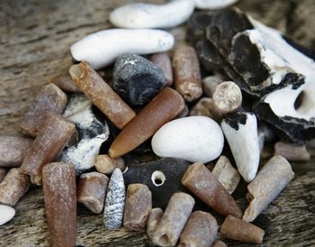 Pressmind Bild-ID : 3142740