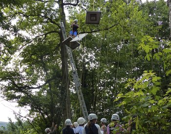 Spessart