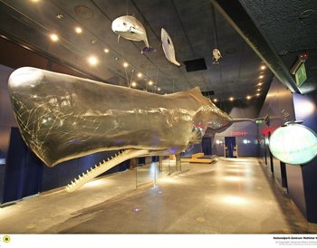 Pressmind Bild-ID : 1208498