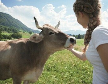 Pressmind Bild-ID : 1106214