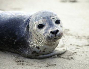 Pressmind Bild-ID : 683214