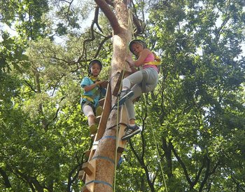 Lüneburger Heide Walsrode