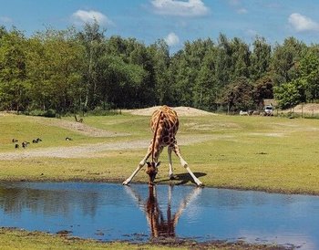 Safaripark Beekse Bergen