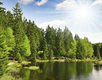 Bayerischer Wald Waldmünchen