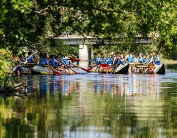 Bayerischer Wald Regen