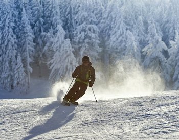 Pressmind Bild-ID : 1117966