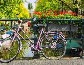 Holland Hunzepark Ferienzentrum