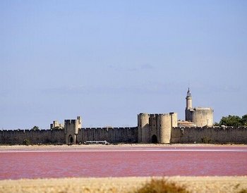 Provence & Camargue