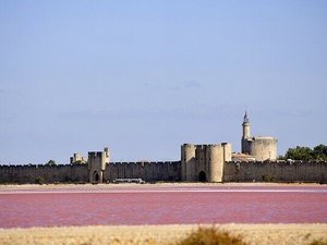 Provence & Camargue