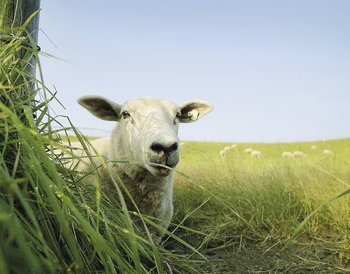 Pressmind Bild-ID : 2306419