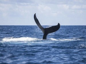 Italienische Riviera