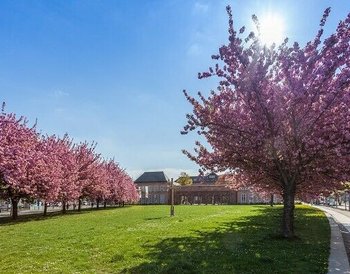 Grassi Museum Leipzig
