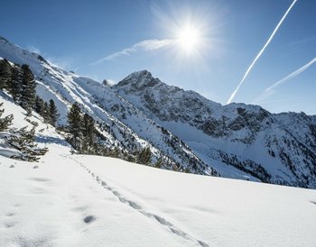 Pressmind Bild-ID : 1135814