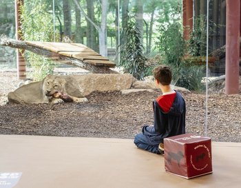 Pressmind Bild-ID : 3860216