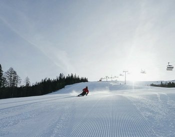 Pressmind Bild-ID : 1121139