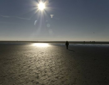 Nordsee Halbinsel Butjadingen