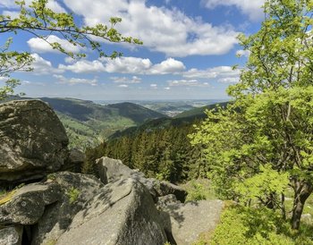 Harz Braunlage Haus Berlin